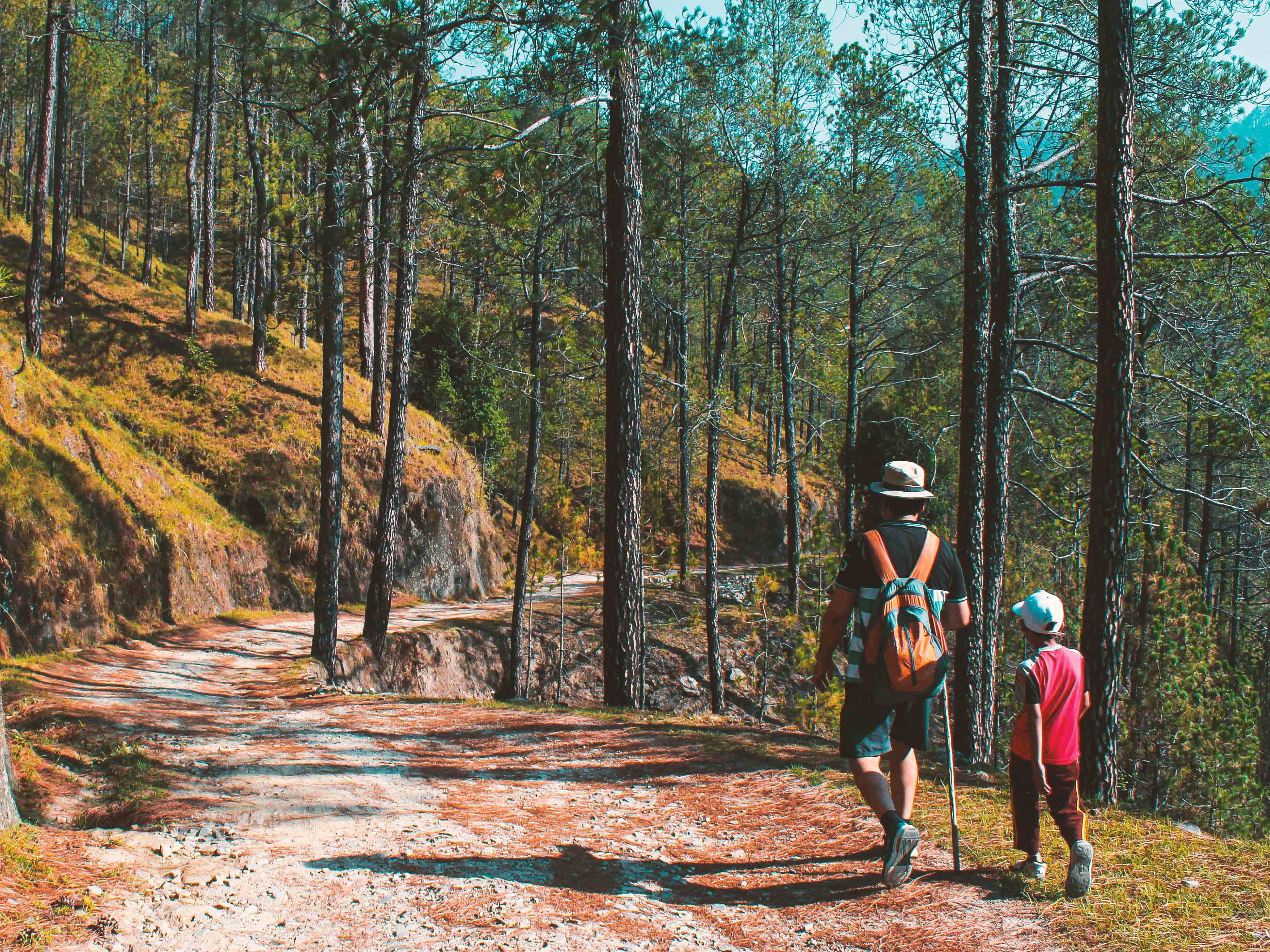 Trekking in montagna con i bambini